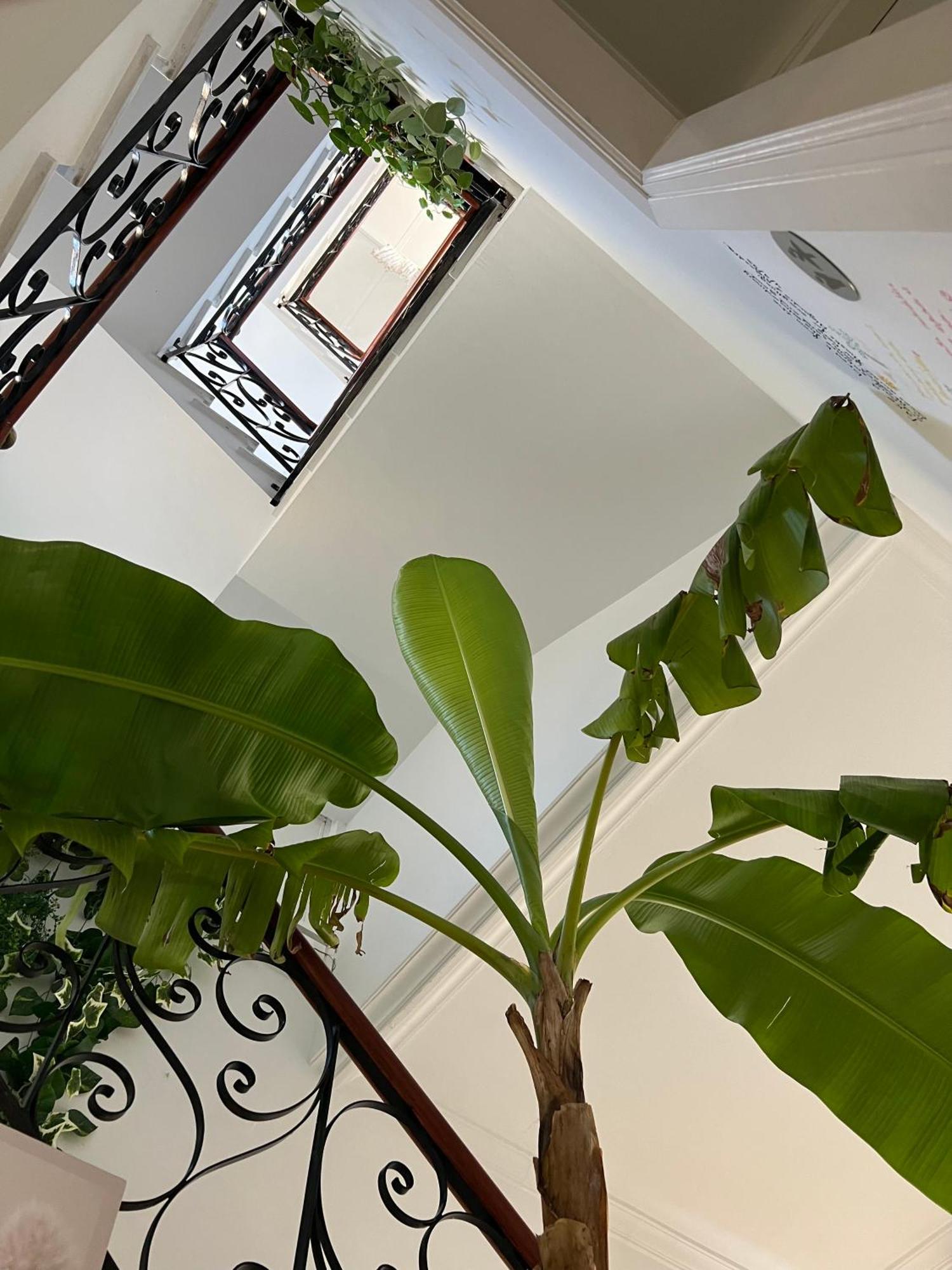 Balear Hotel Ciutadella  Dış mekan fotoğraf